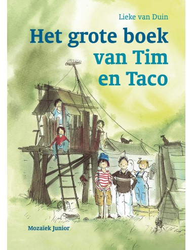 Lieke van Duin - Grote boek van tim...